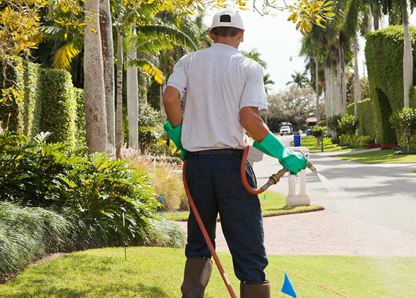 About Long Island KS Pest Control